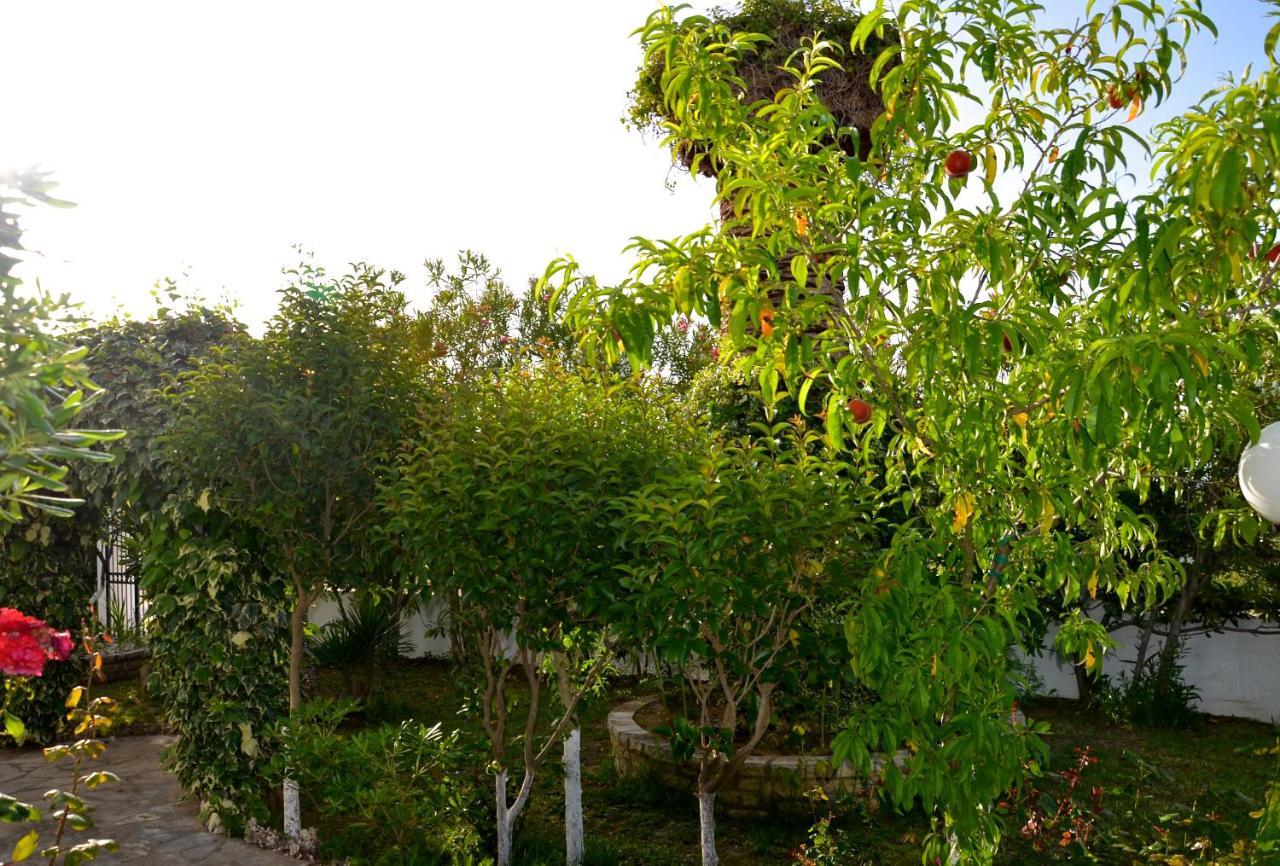 Апартаменты Kostas' Garden Рода Экстерьер фото